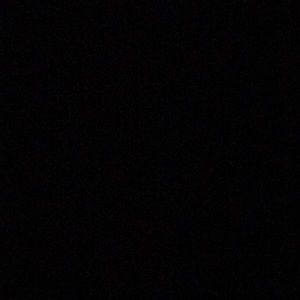 Meet your Posher, Dina